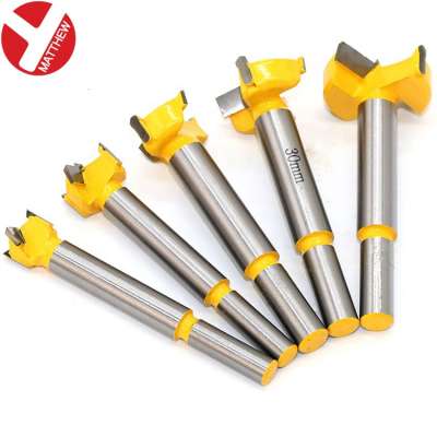 5pcs Woodworking Hole Cutting Tool Router Forstner Bits set with 10mm Round Shank